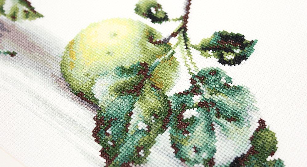 Still Life with apples B2259L Counted Cross-Stitch Kit-4